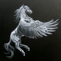 Gray Pegasus