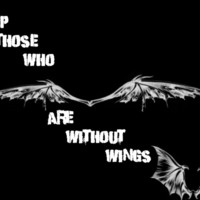 Help Those Who are Without Wings