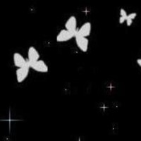 Butterflies & Twinkling Stars