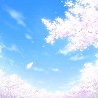 Anime Cherry Blossoms