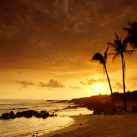 Golden Beach Sunset