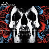 Deftones-Skull & Roses