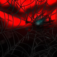 Spider Web on Red