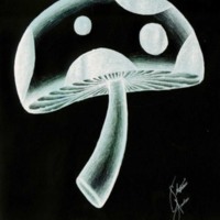 Black & White Mushroom 