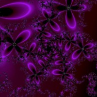 Purple Flower Abstract