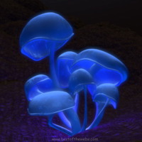 Electric Blue Mushrooms