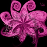 Pink Flower Swirl