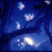 Blue Night Fairies
