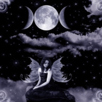 Grey fairy in moonlight
