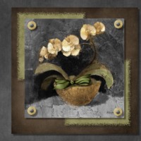 Orchids on Brown & Grey Design