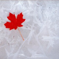 Canada on ice