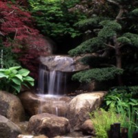 Japanese Gardens Waterfall