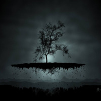 Tree of Isolation