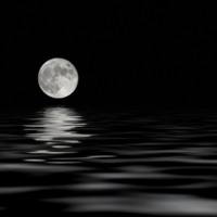 Moonlight Over Black Water