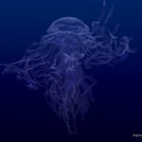 Deep Sea Jellyfish