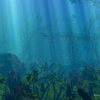 Under the Sea