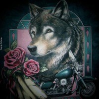 Wolf & Motorcycle