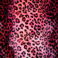 Hot pink cheetah
