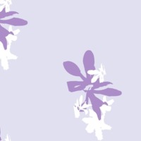 Lavender Flower Design