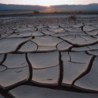 Dry Heat Cracked Earth