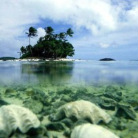 Sea Shell Island