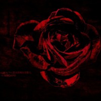 Bloody Red Rose