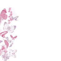 Butterflies in Pink & Lavender