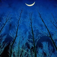 Eerie Blue Night
