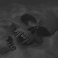 Grey Skull in Sand
