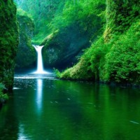 Green Lush Waterfall