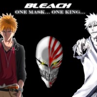 Bleach One Mask... One King...