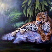 Leopard on Jungle Rock